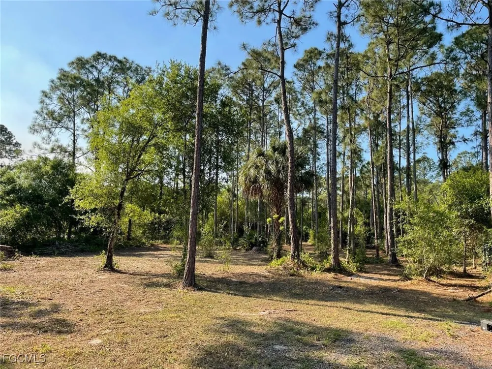 PINE CONE AVENUE Montura Ranches, FL 33440