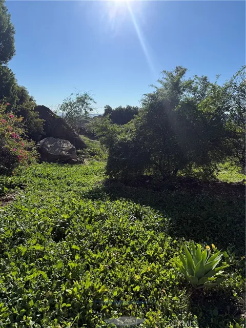 21776 MOJAVE TRAIL