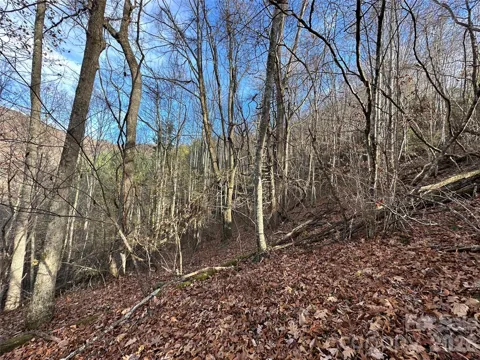 00 Rock House Cove Road #2