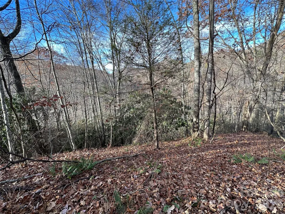 00 Rock House Cove Road #2 Clyde, NC 28721