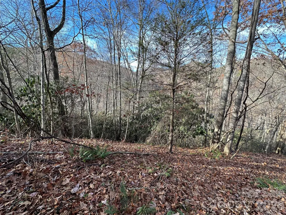 00 Rock House Cove Road #2 Clyde, NC 28721