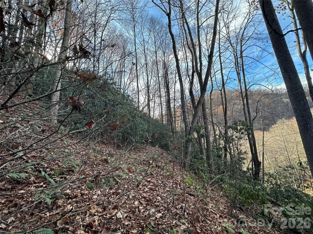 00 Rock House Cove Road #2 Clyde, NC 28721