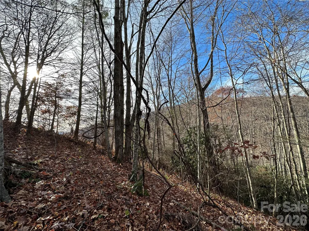 00 Rock House Cove Road #2 Clyde, NC 28721
