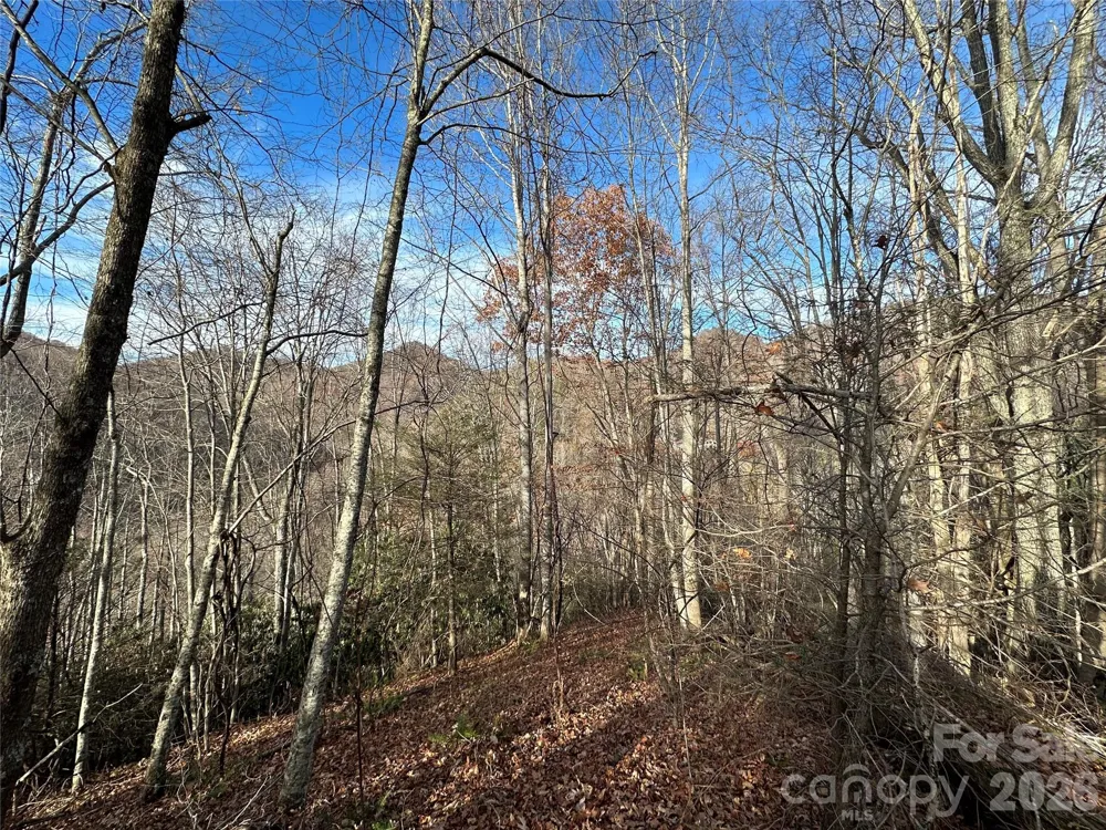 00 Rock House Cove Road #2 Clyde, NC 28721