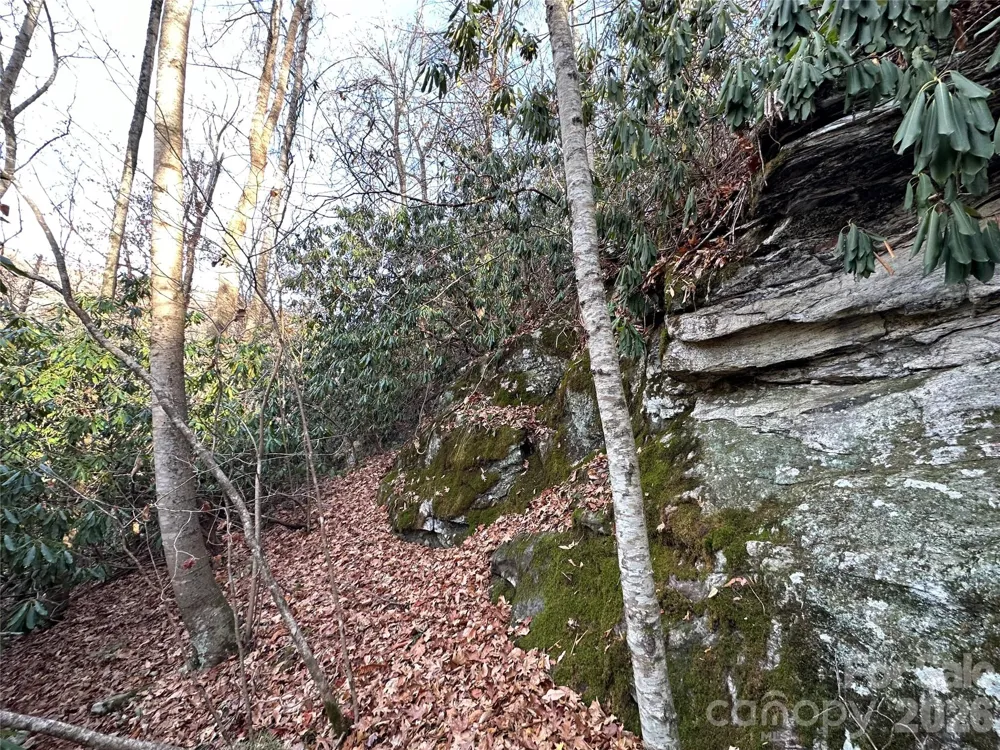 00 Rock House Cove Road #2 Clyde, NC 28721