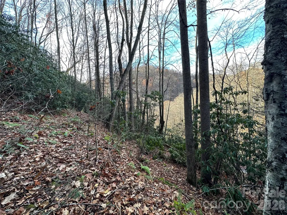 00 Rock House Cove Road #2 Clyde, NC 28721