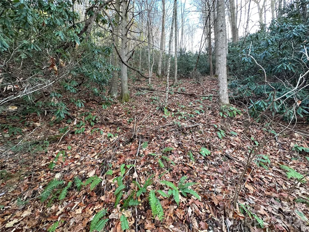 00 Rock House Cove Road #2 Clyde, NC 28721