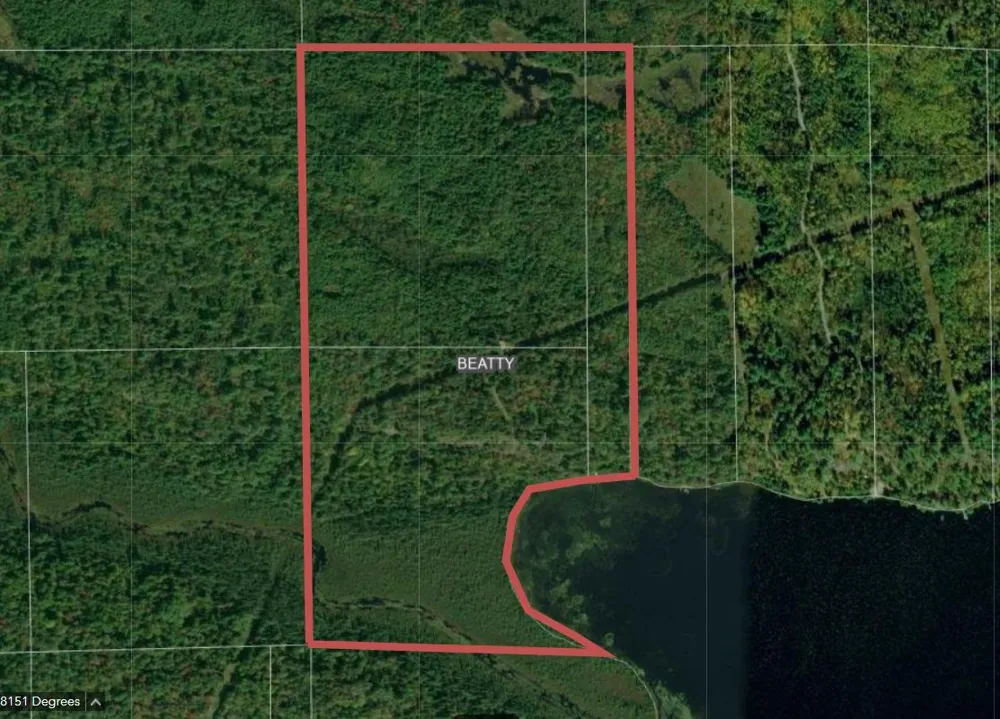 8442 Hwy. 24 Cook, MN 55723