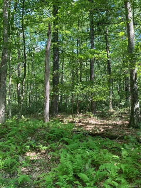 Allen Road