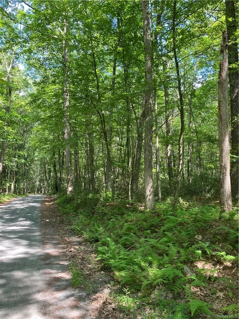 Allen Road Wurtsboro, NY 12790