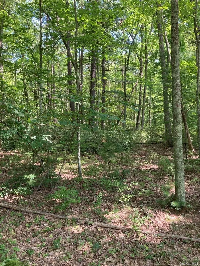 Allen Road Wurtsboro, NY 12790