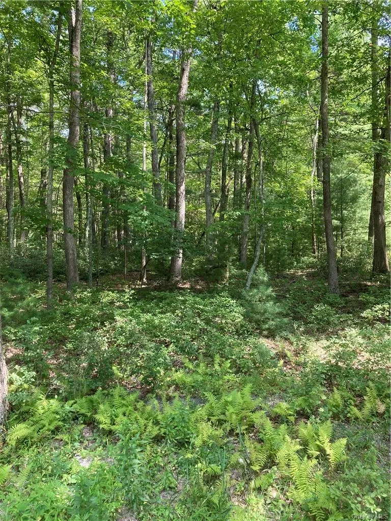 Allen Road Wurtsboro, NY 12790