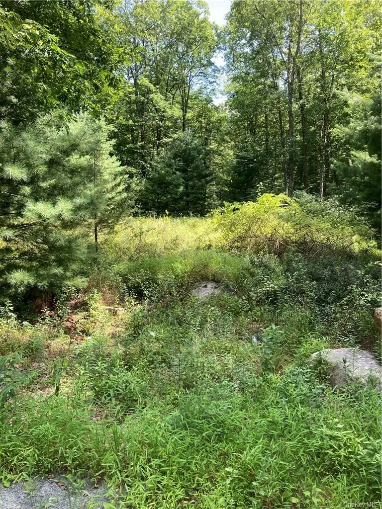 Allen Road Wurtsboro, NY 12790
