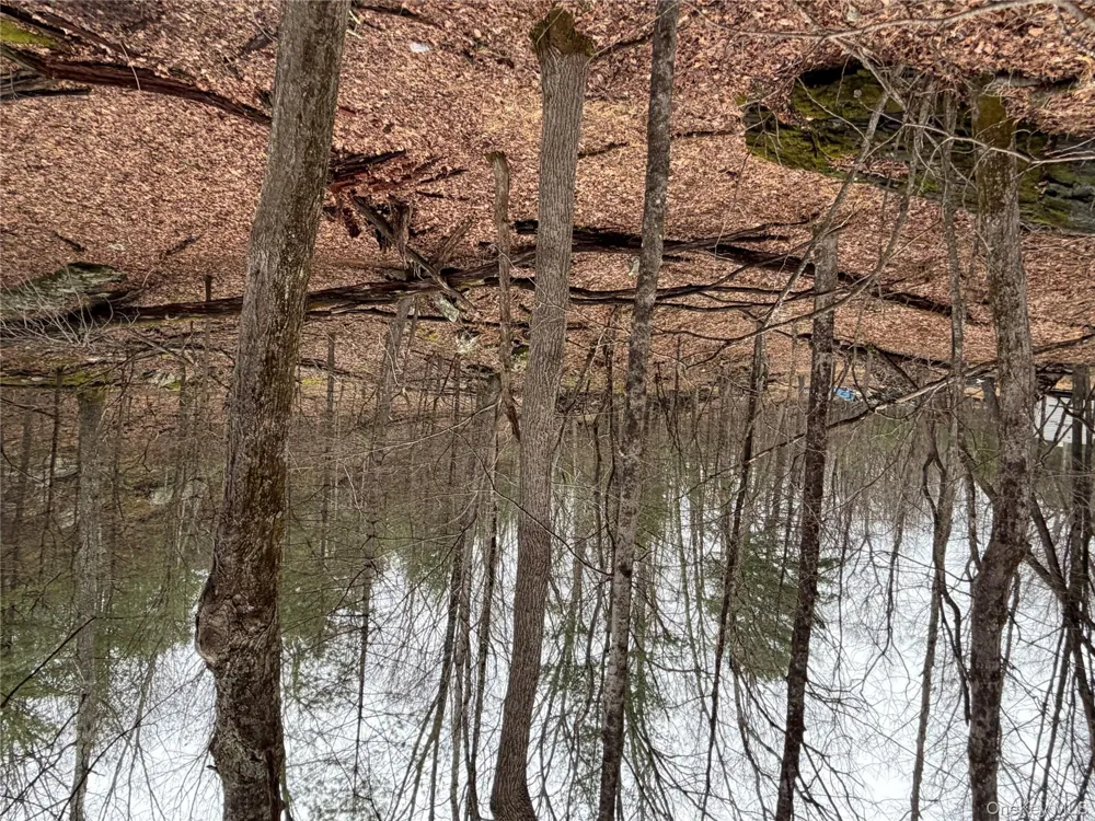 Allen Road Wurtsboro, NY 12790