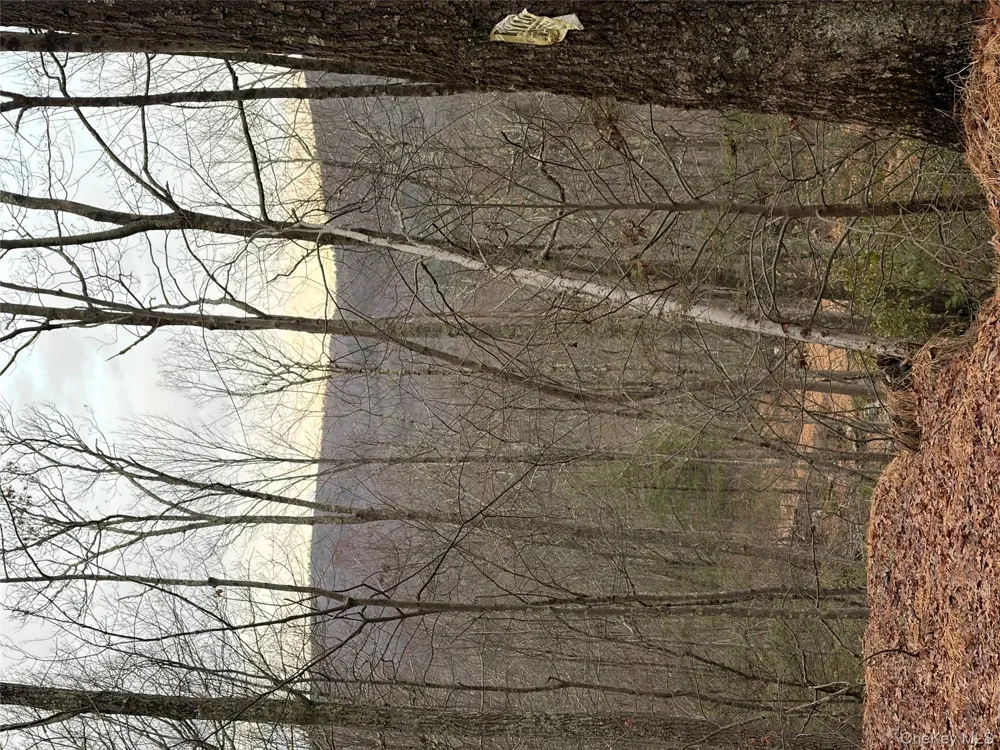 Allen Road Wurtsboro, NY 12790