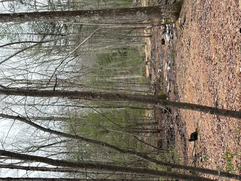 Allen Road Wurtsboro, NY 12790