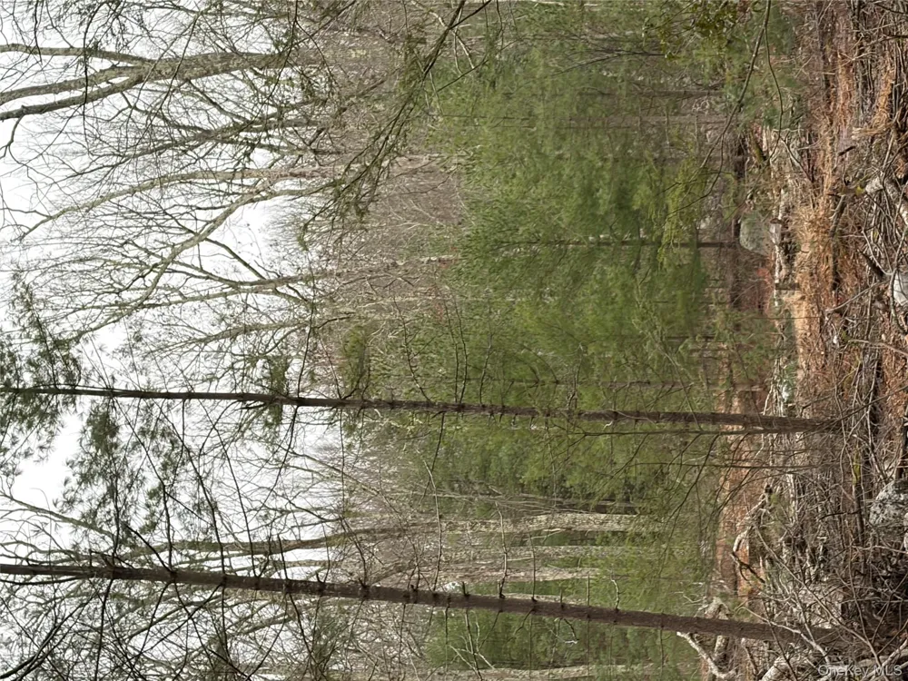Allen Road Wurtsboro, NY 12790