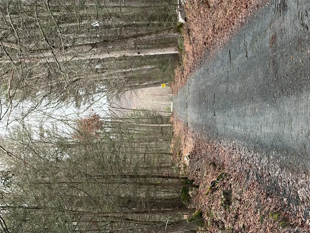 Allen Road Wurtsboro, NY 12790