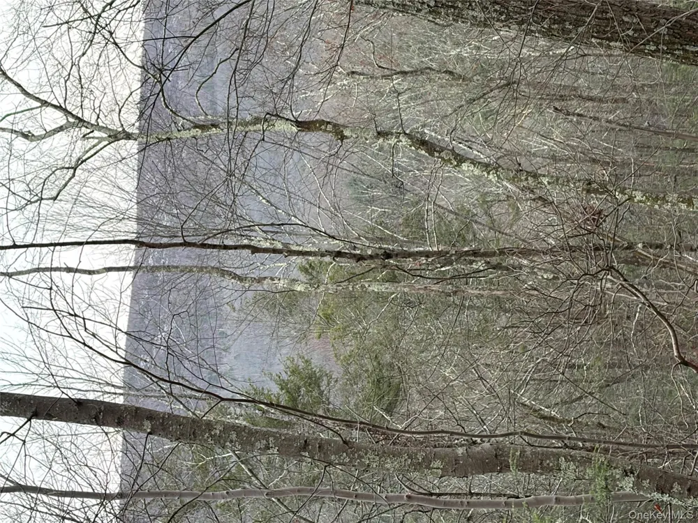Allen Road Wurtsboro, NY 12790