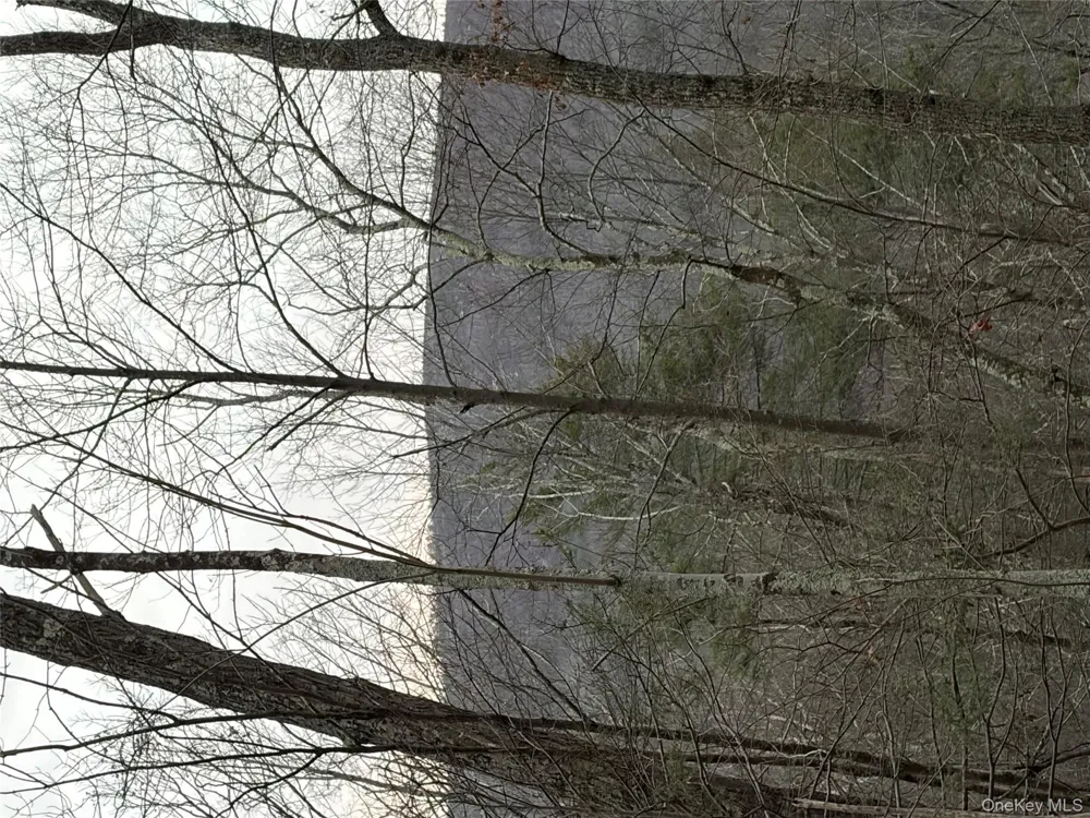 Allen Road Wurtsboro, NY 12790