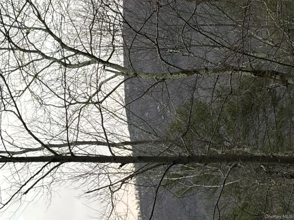 Allen Road Wurtsboro, NY 12790