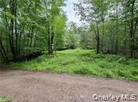 790 Oak East Branch, NY 13783