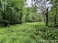 790 Oak East Branch, NY 13783