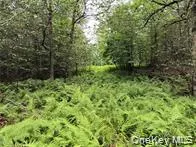 790 Oak East Branch, NY 13783