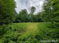 790 Oak East Branch, NY 13783