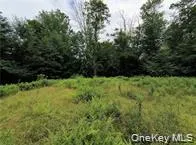 790 Oak East Branch, NY 13783