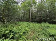 790 Oak East Branch, NY 13783