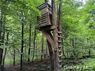 790 Oak East Branch, NY 13783