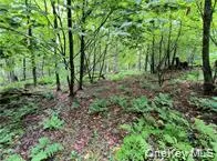 790 Oak East Branch, NY 13783