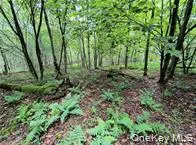 790 Oak East Branch, NY 13783