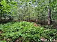 790 Oak East Branch, NY 13783