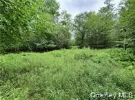 790 Oak East Branch, NY 13783