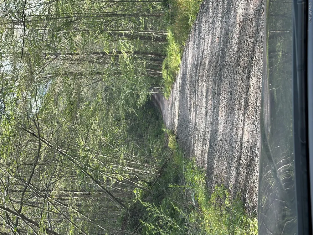 790 Oak East Branch, NY 13783