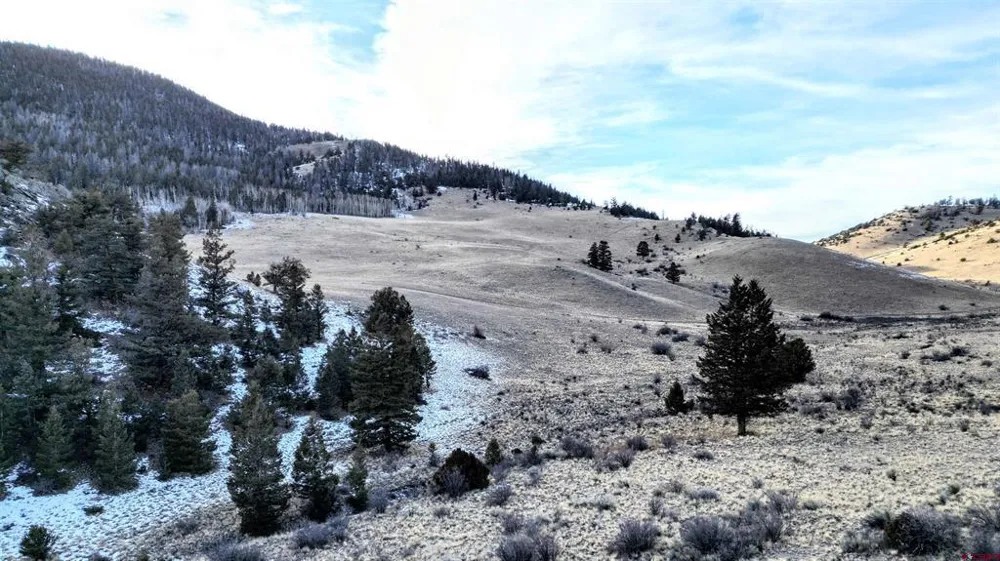 2009 County Road B-31 Del Norte, CO 81132