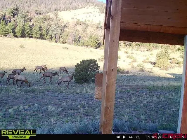 2009 County Road B-31 Del Norte, CO 81132