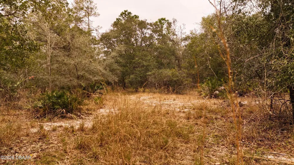 95 Pinto Lane Ormond Beach, FL 32174