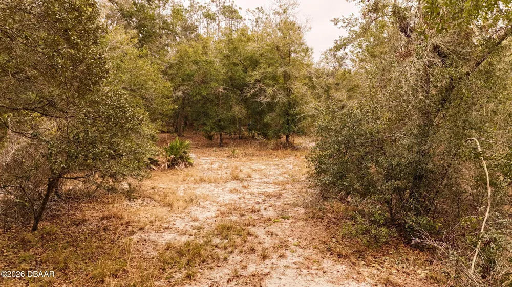 95 Pinto Lane Ormond Beach, FL 32174