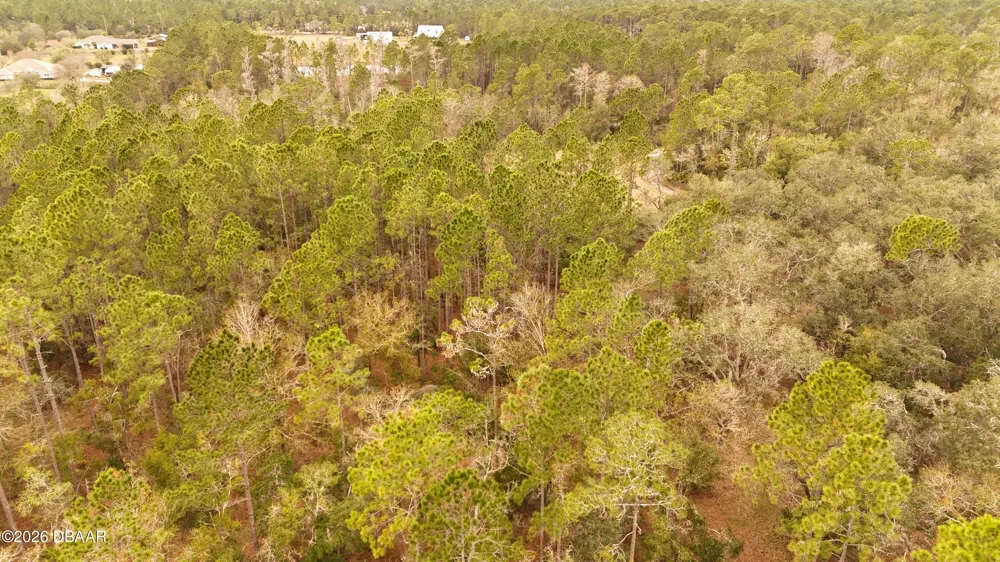 95 Pinto Lane Ormond Beach, FL 32174