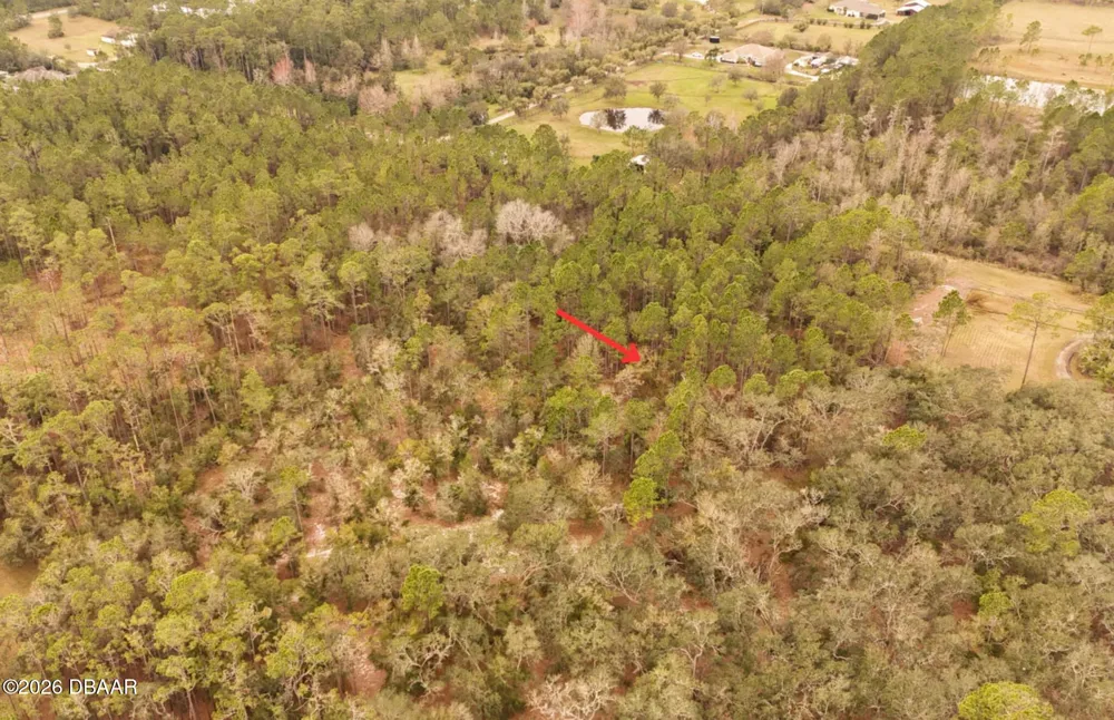 95 Pinto Lane Ormond Beach, FL 32174