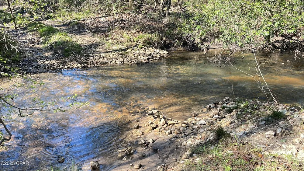 37 Ten Mile Rd Bonifay, FL 32425