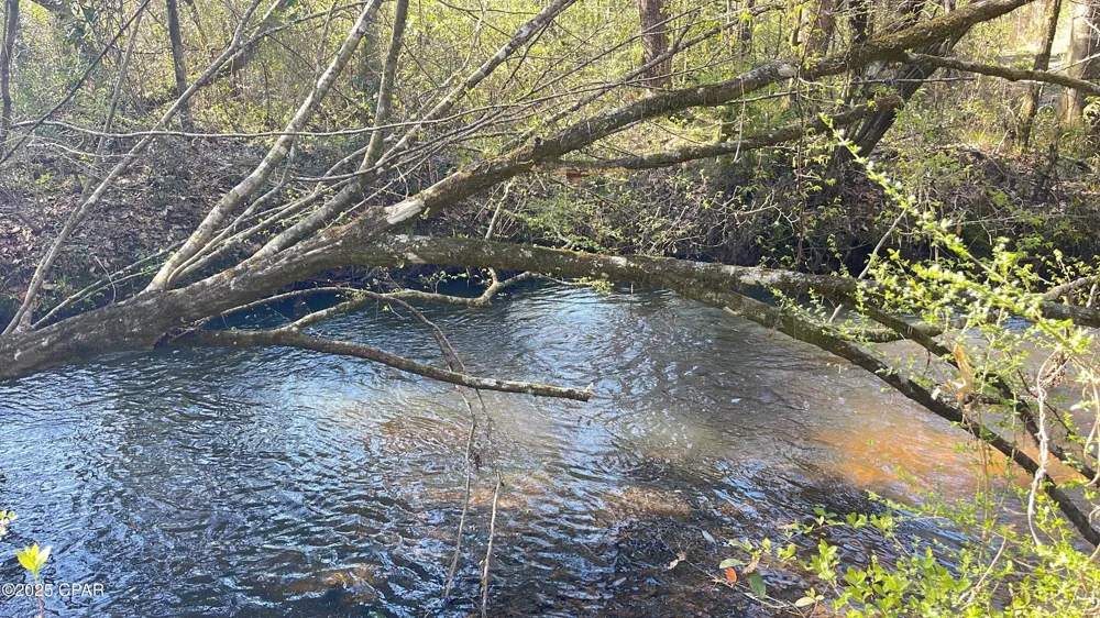 37 Ten Mile Rd Bonifay, FL 32425