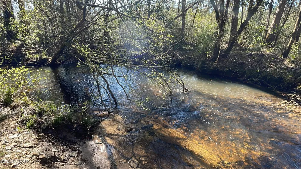 37 Ten Mile Rd Bonifay, FL 32425