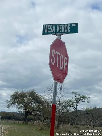 TBD Bisonte Rojo   (Mesa Verde Park)