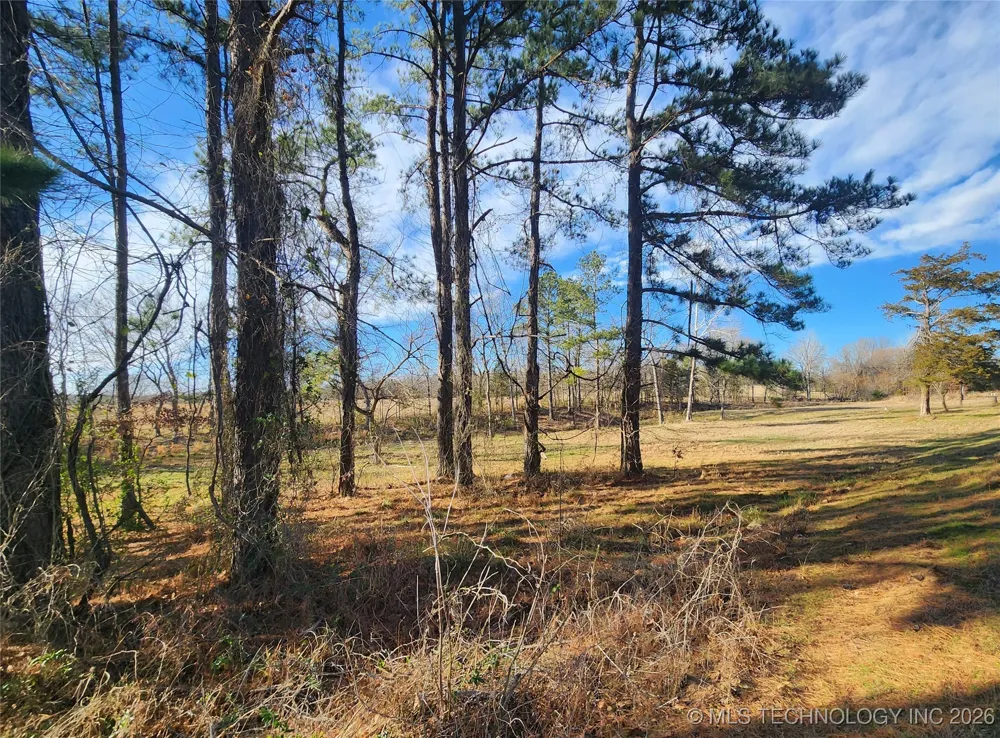 11023 S Bentley Boswell, OK 74525