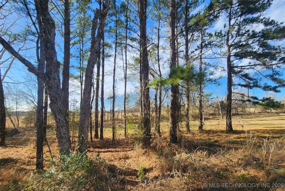 11023 S Bentley Boswell, OK 74525
