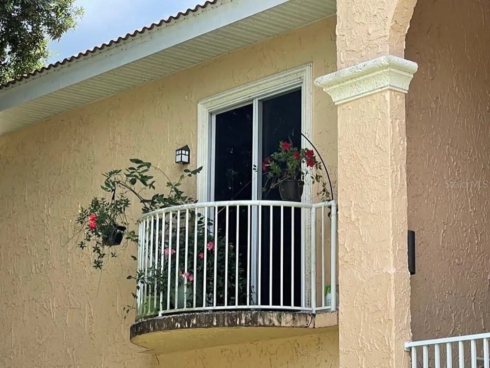 6801 DALI AVENUE #206 Land O Lakes, FL 34637